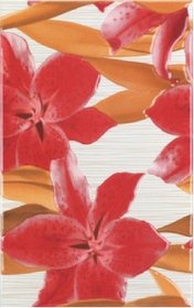 decor Orchids rojo 25x40